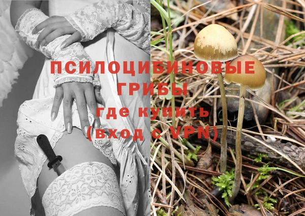 ешки Алексеевка