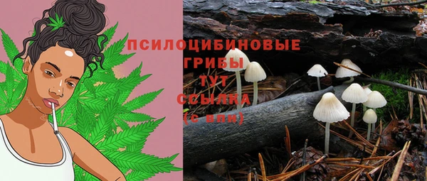 бутират Алзамай