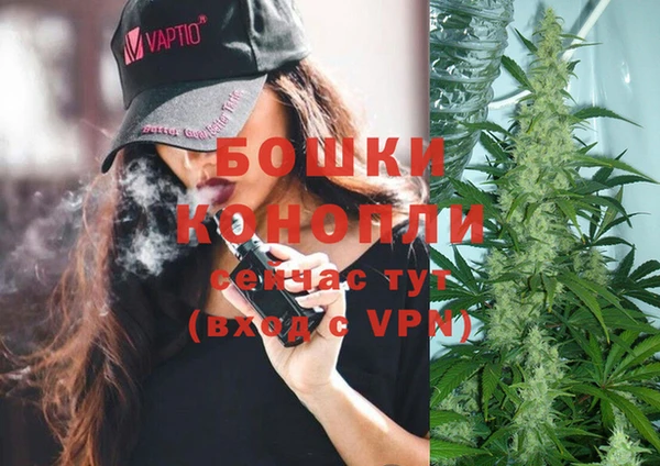 трава Аркадак