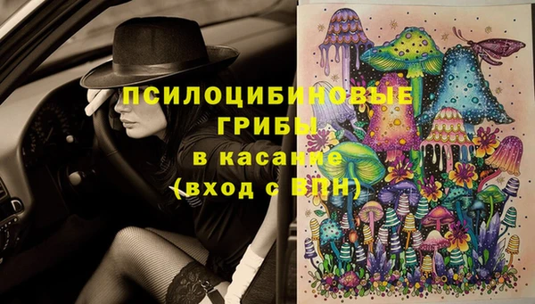 трава Аркадак