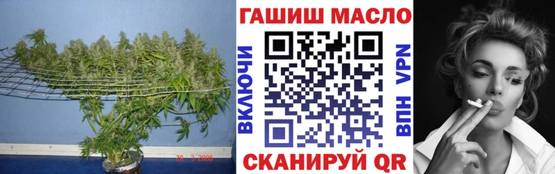где купить   Курган  Дистиллят ТГК вейп с тгк 