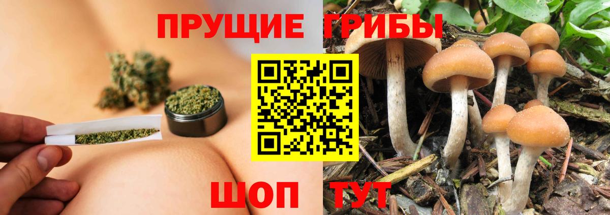 Галлюциногенные грибы мицелий Курган