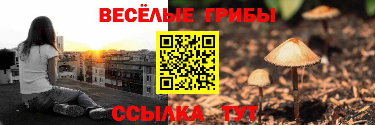 Курган  Псилоцибиновые грибы мицелий  Вход с VPN 